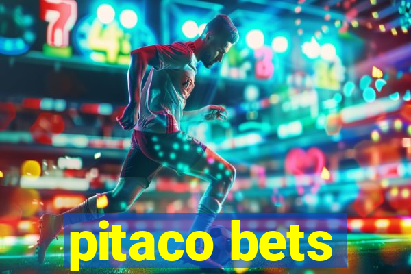 pitaco bets